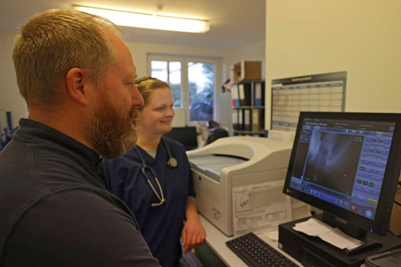 Tierarztpraxis Eitner - digitales Röntgen
